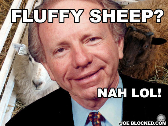 Sheep