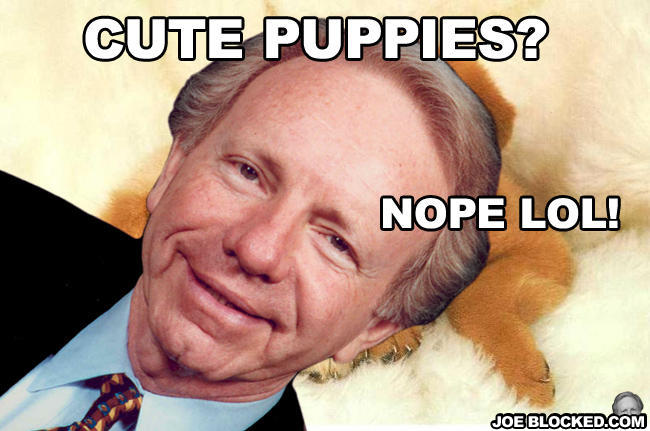 Puppies